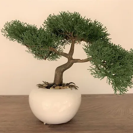 Fani - In تروغير