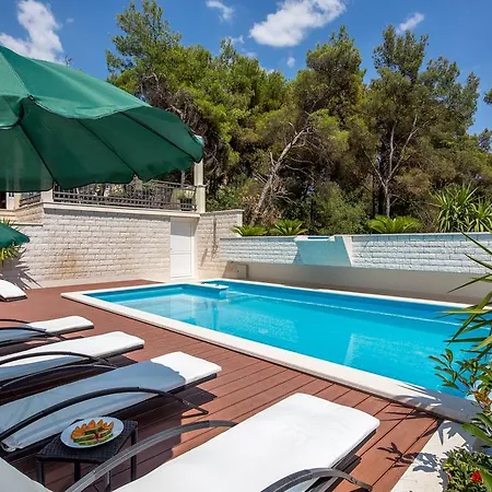 Fani - In تروغير