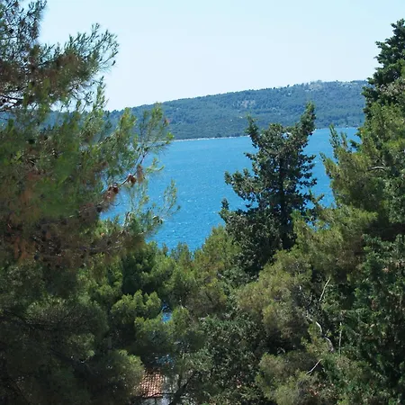 Fani - In * 트로기르