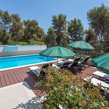 Fani - In 트로기르