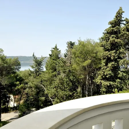 Fani - In 트로기르