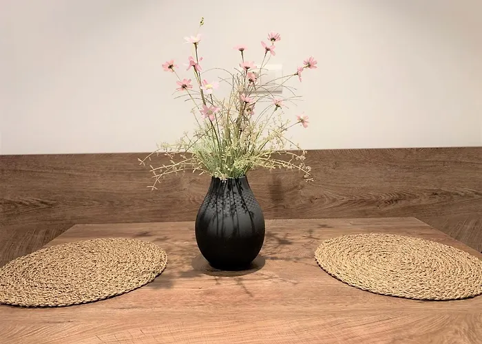 Fani - In 公寓 特罗吉尔