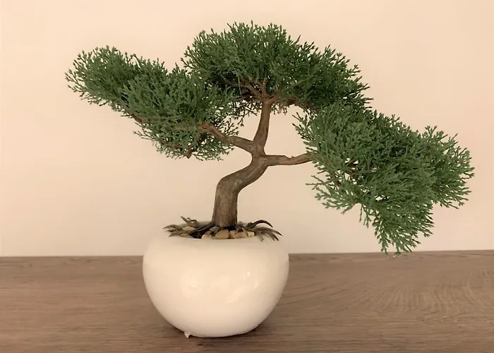 Fani - In 特罗吉尔