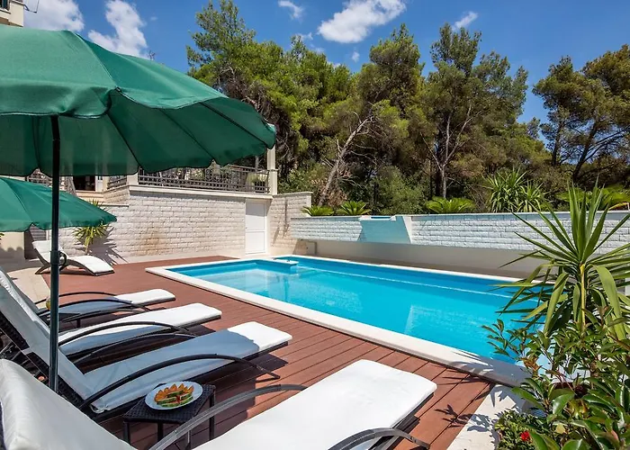 Fani - In 特罗吉尔