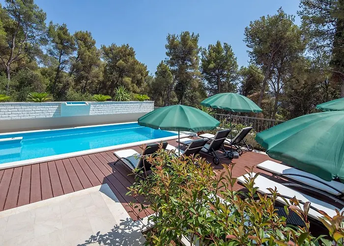 Fani - In 特罗吉尔